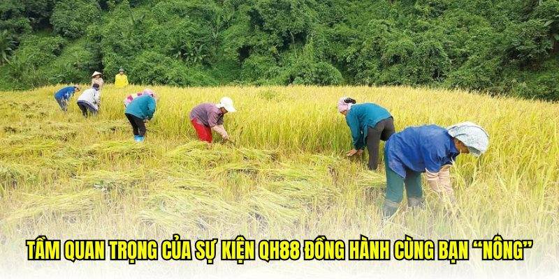 Lý do QH88 đồng hành cùng bạn "nông" xuất hiện